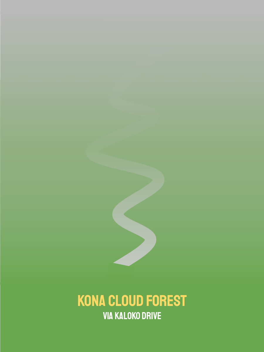cloudforest.png