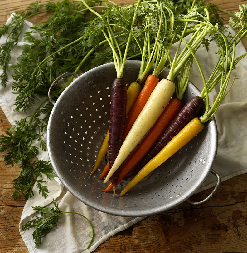 DavidRaine_Fresh_Fresh_Carrots