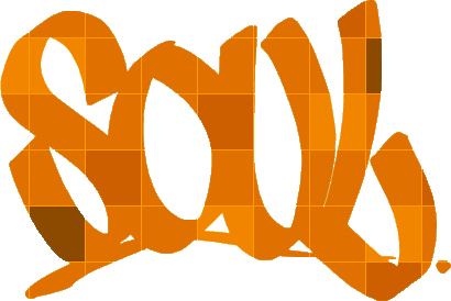 soul logo.gif