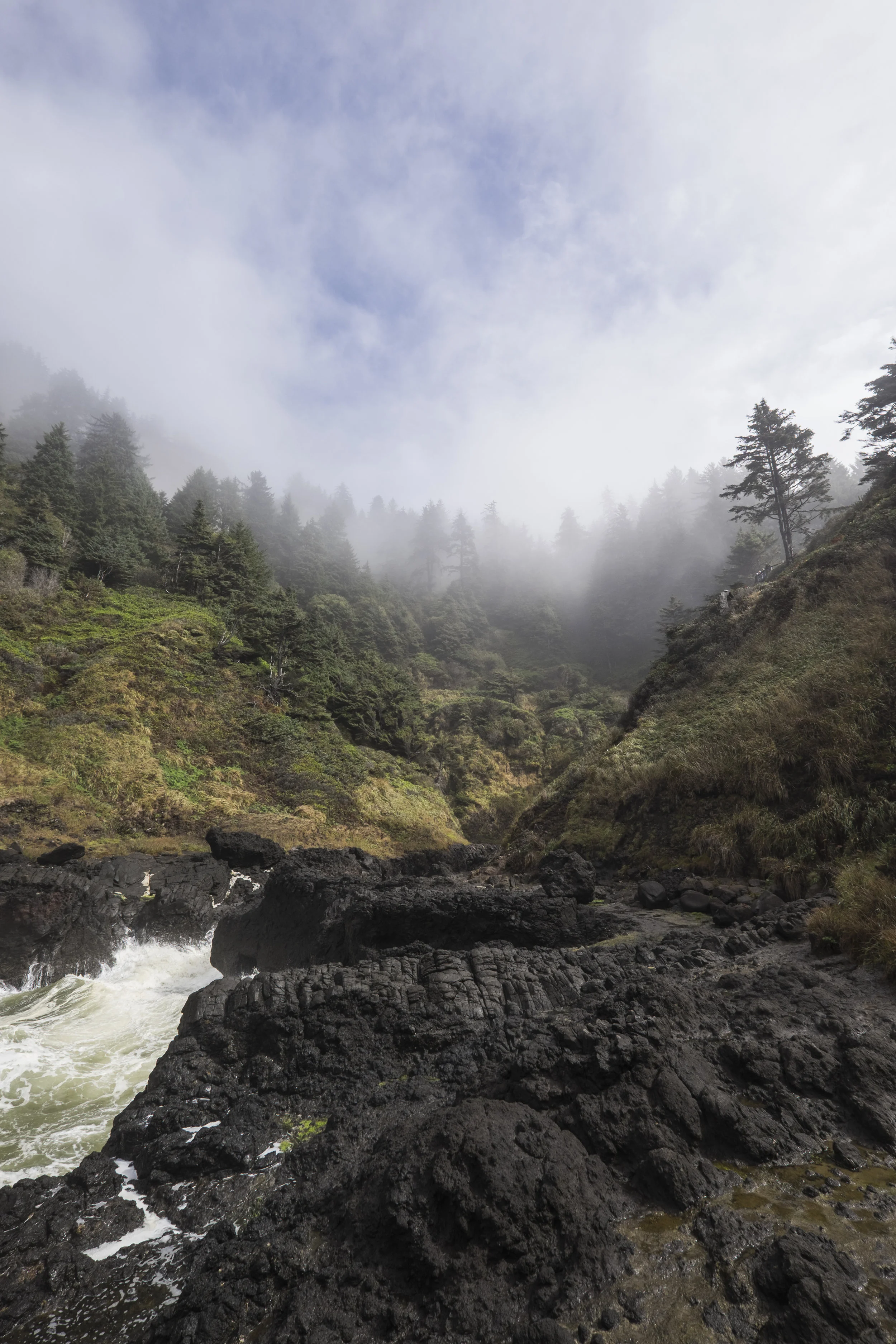 Oregon Coast, 2016