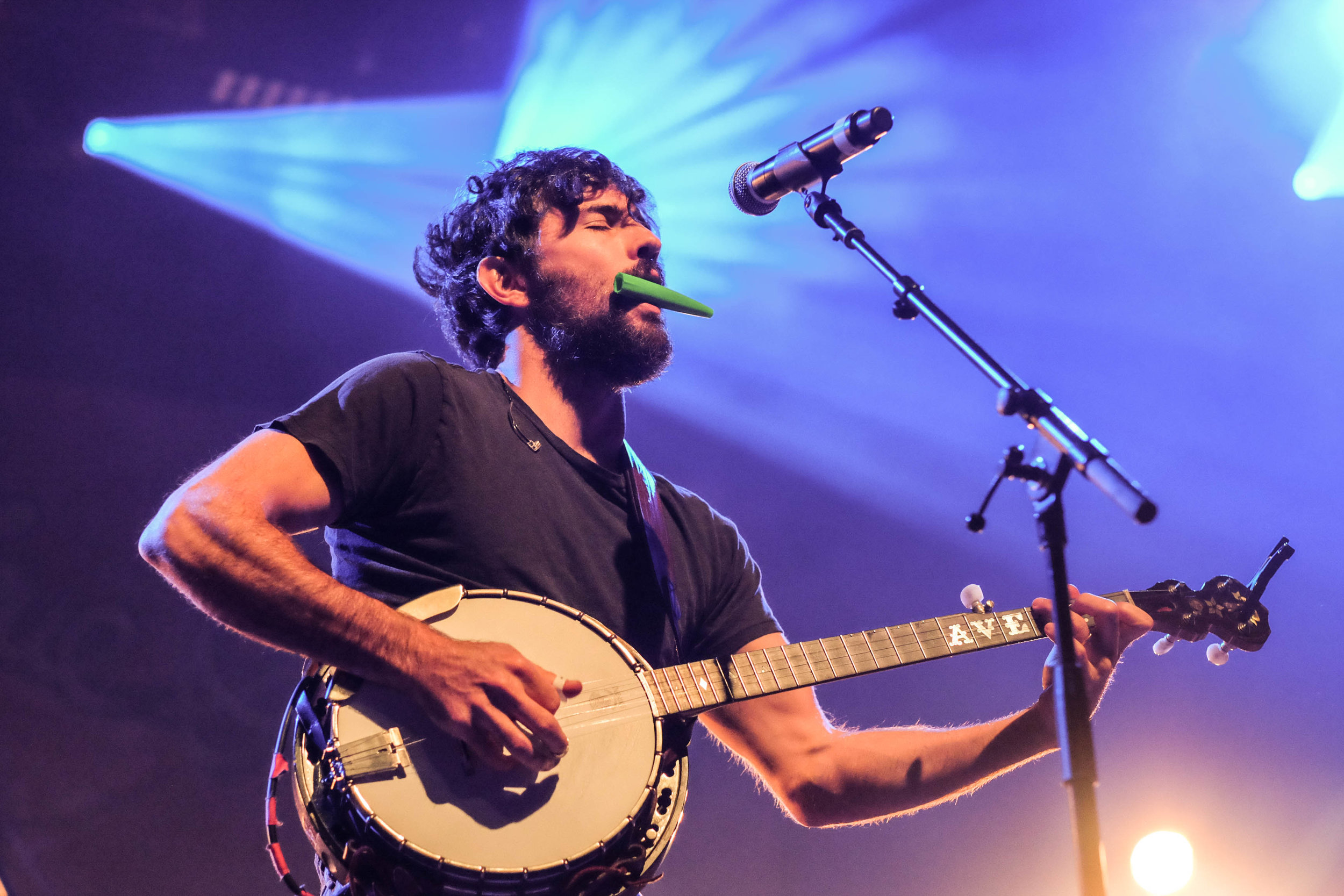 The Avett Brothers