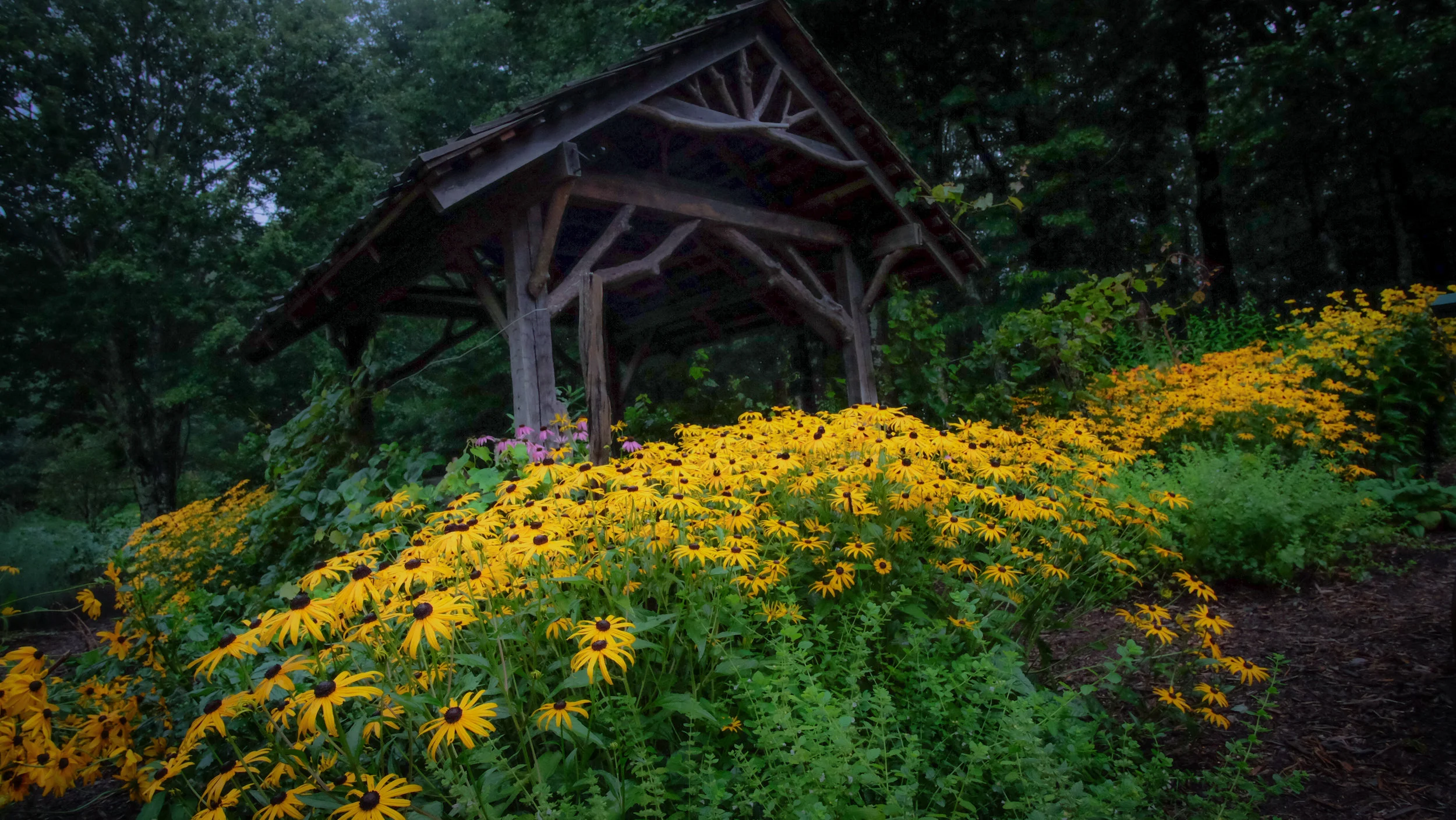 DSCF7353.jpg