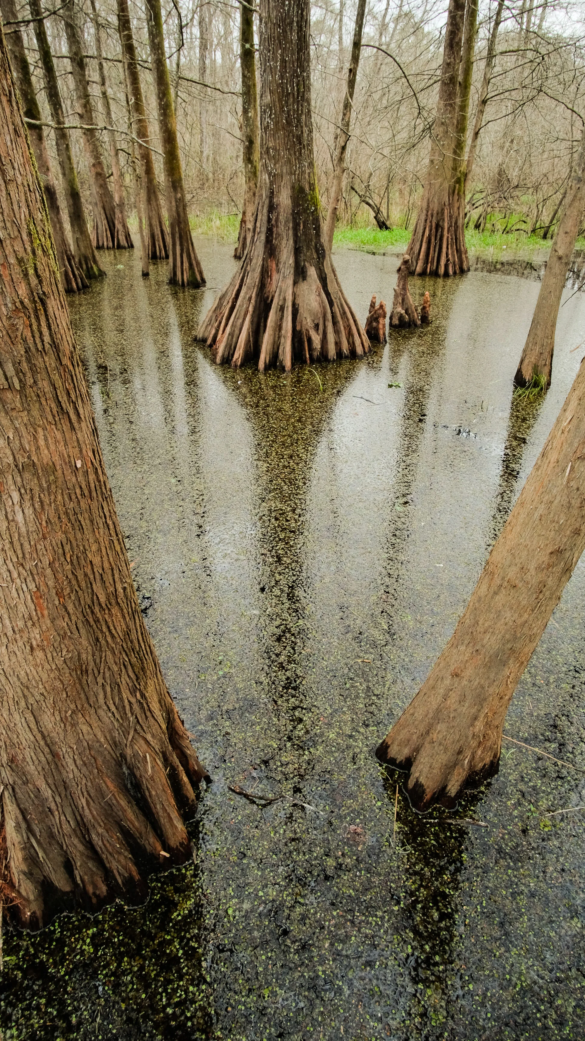 DSCF2738.jpg