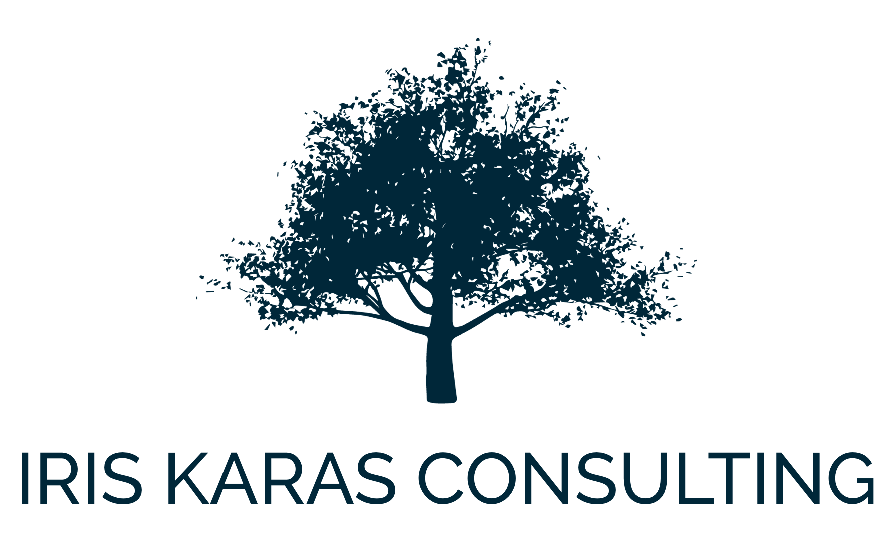 Iris Karas Consulting
