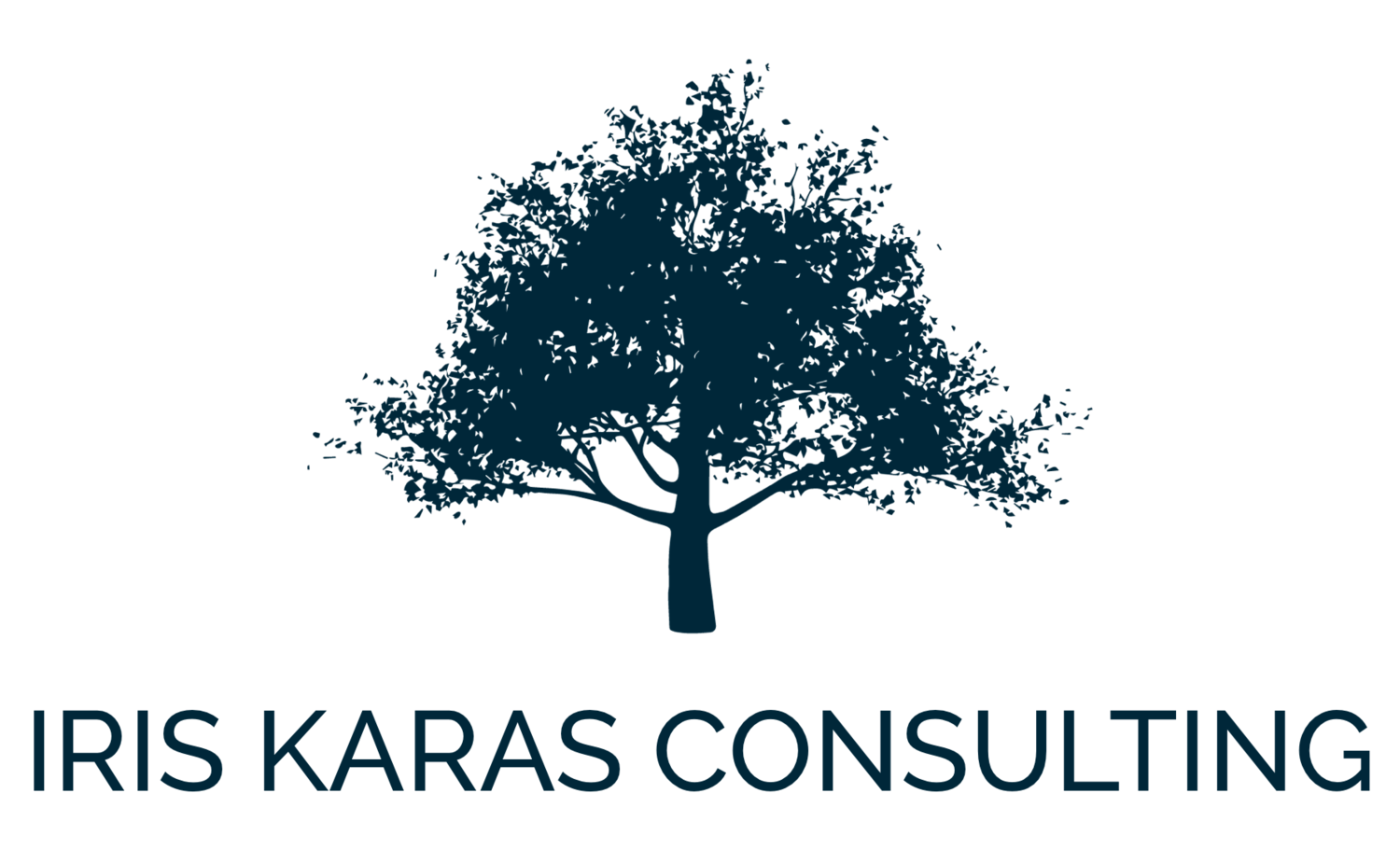 Iris Karas Consulting