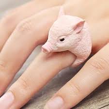 ring on model.jpg
