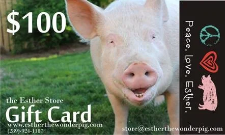 100 Pig E GC.jpg