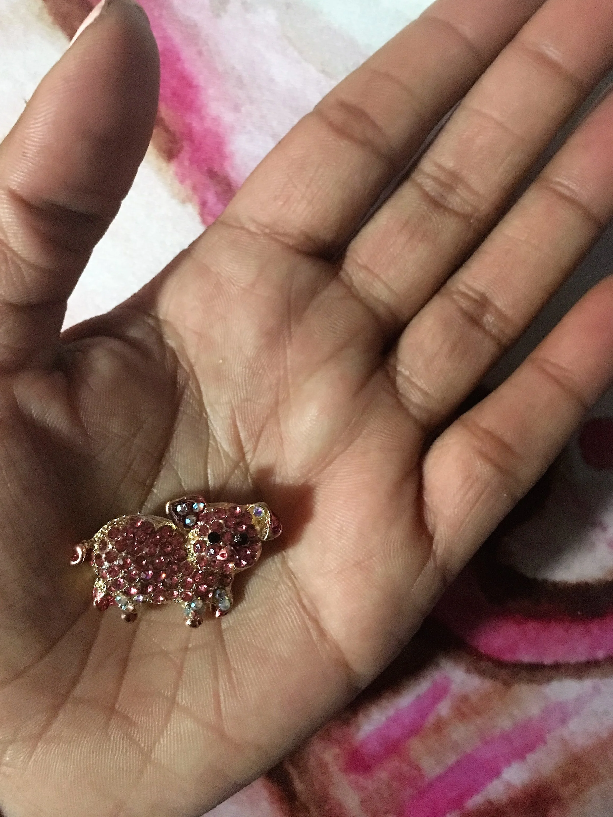pink princess brooch in hand.jpg