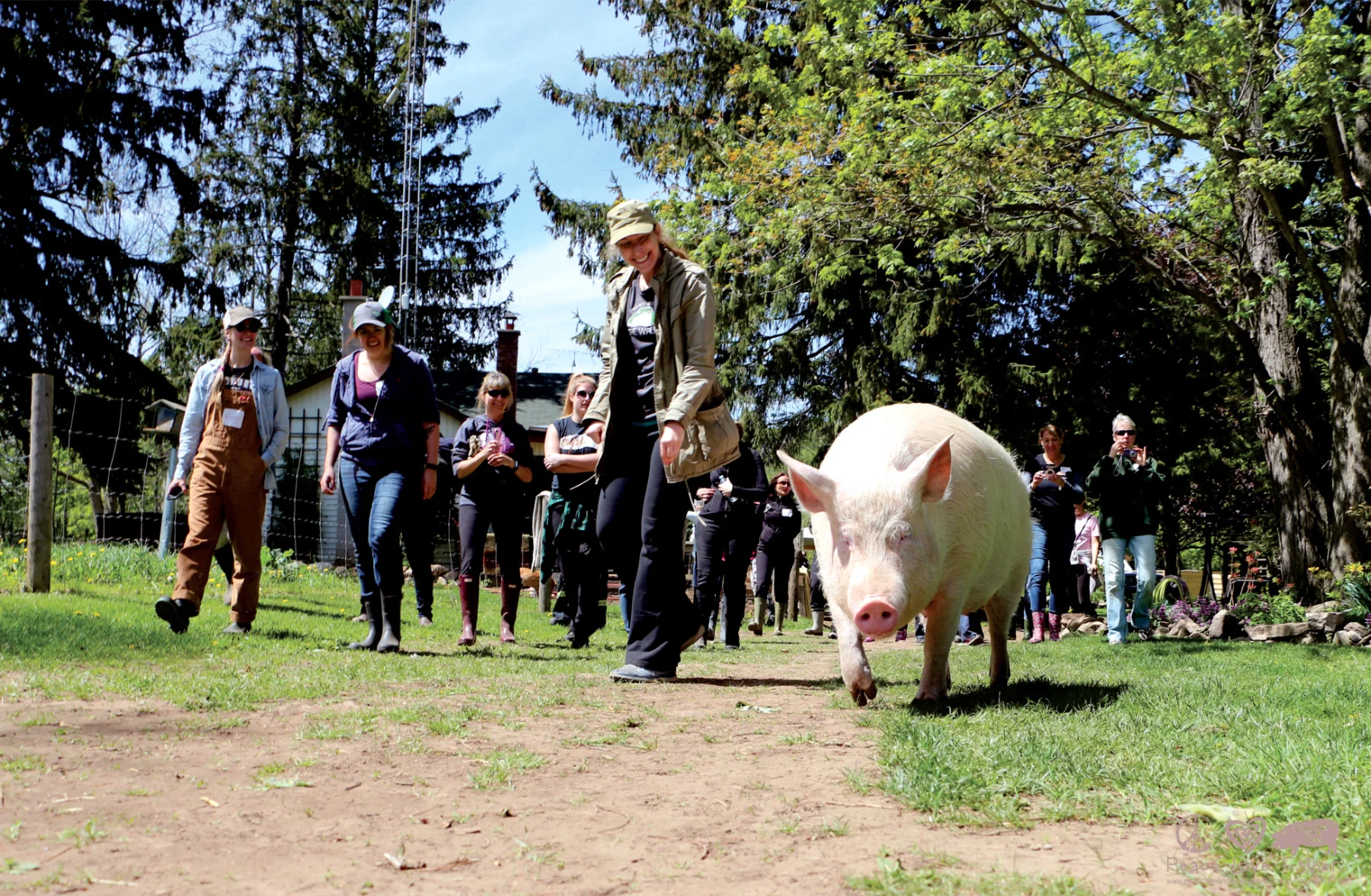 Esther's Entourage.jpg