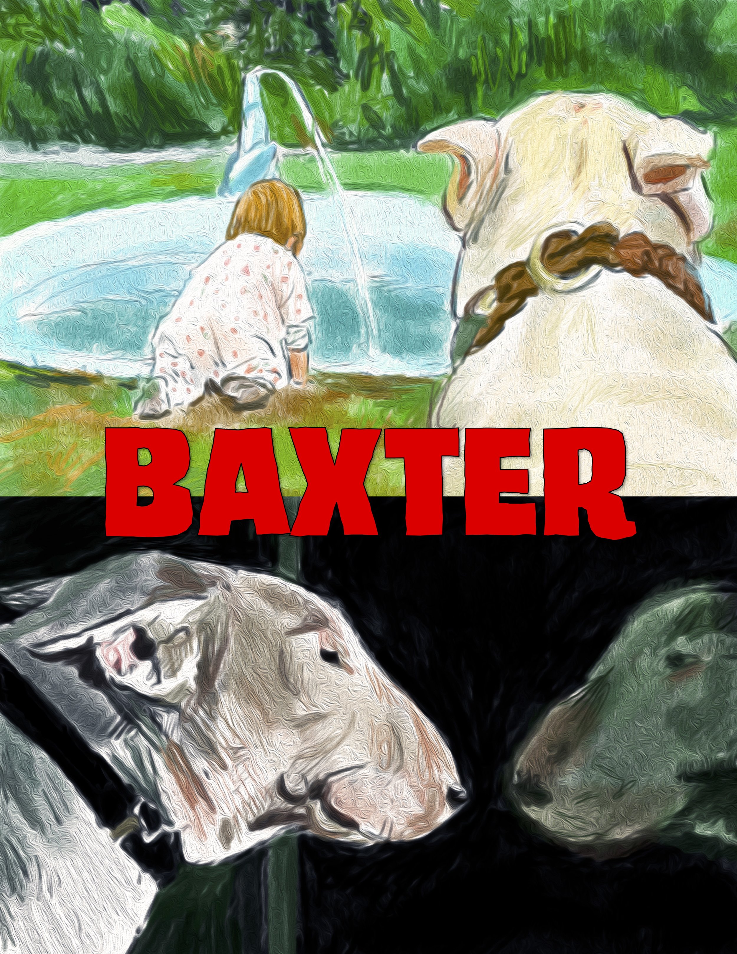 Baxter (1989)