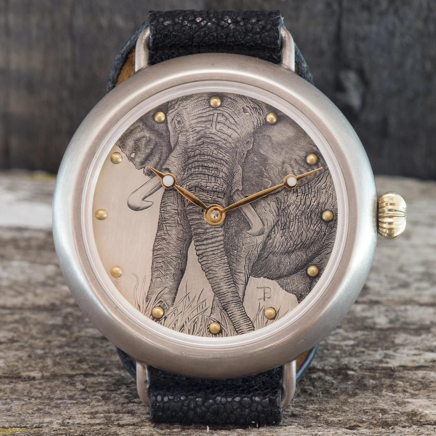HA-Elephant.jpg