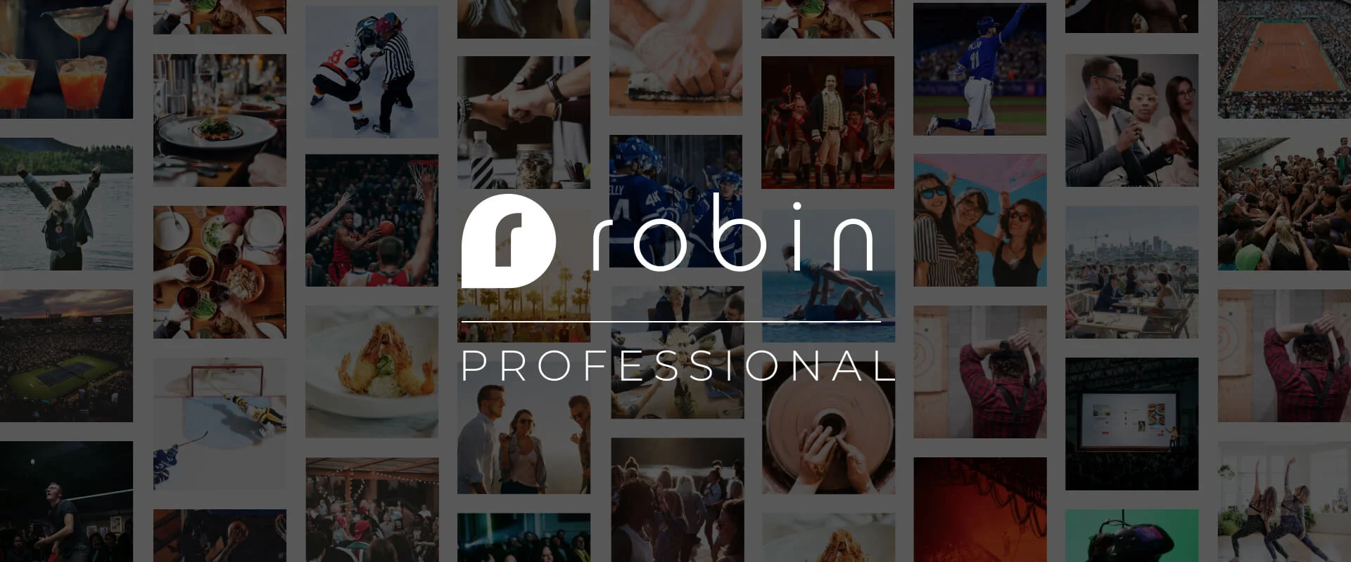 RobinPro_header_S.jpg