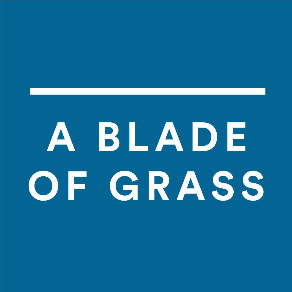A Blade of Grass 2020 Fellowship for Socially Engaged Art — Community Builders Network