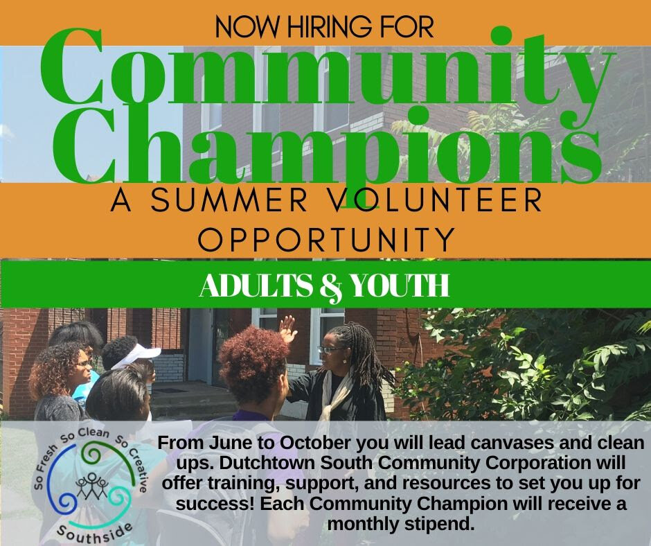 DSCC Community Champions to Lead Canvases, Clean-Up Efforts