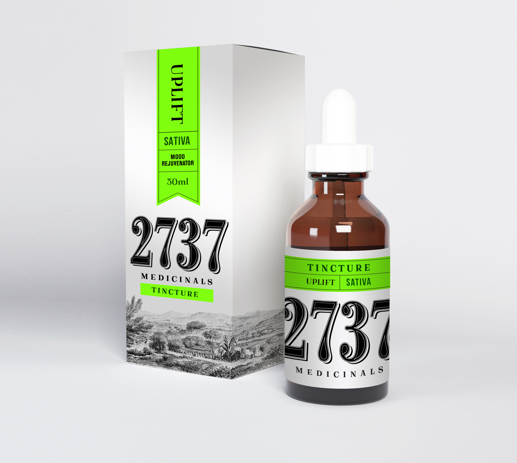 2737-3.jpg