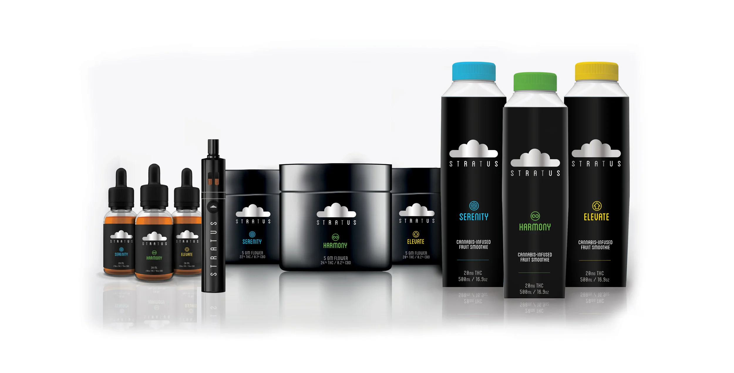 Target Demographic: Young Professionals • Brand Name: Stratus