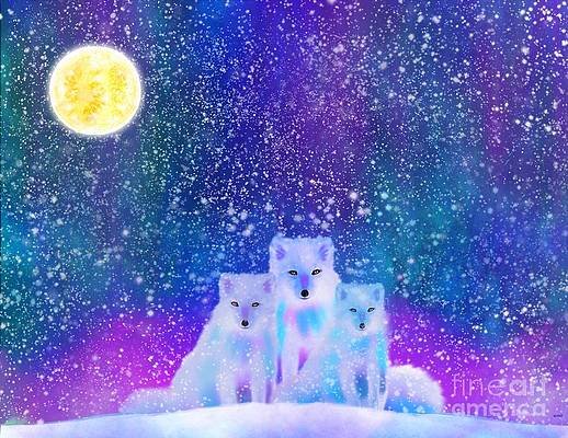 arctic-foxes-northern-lights-nick-gustafson.jpg