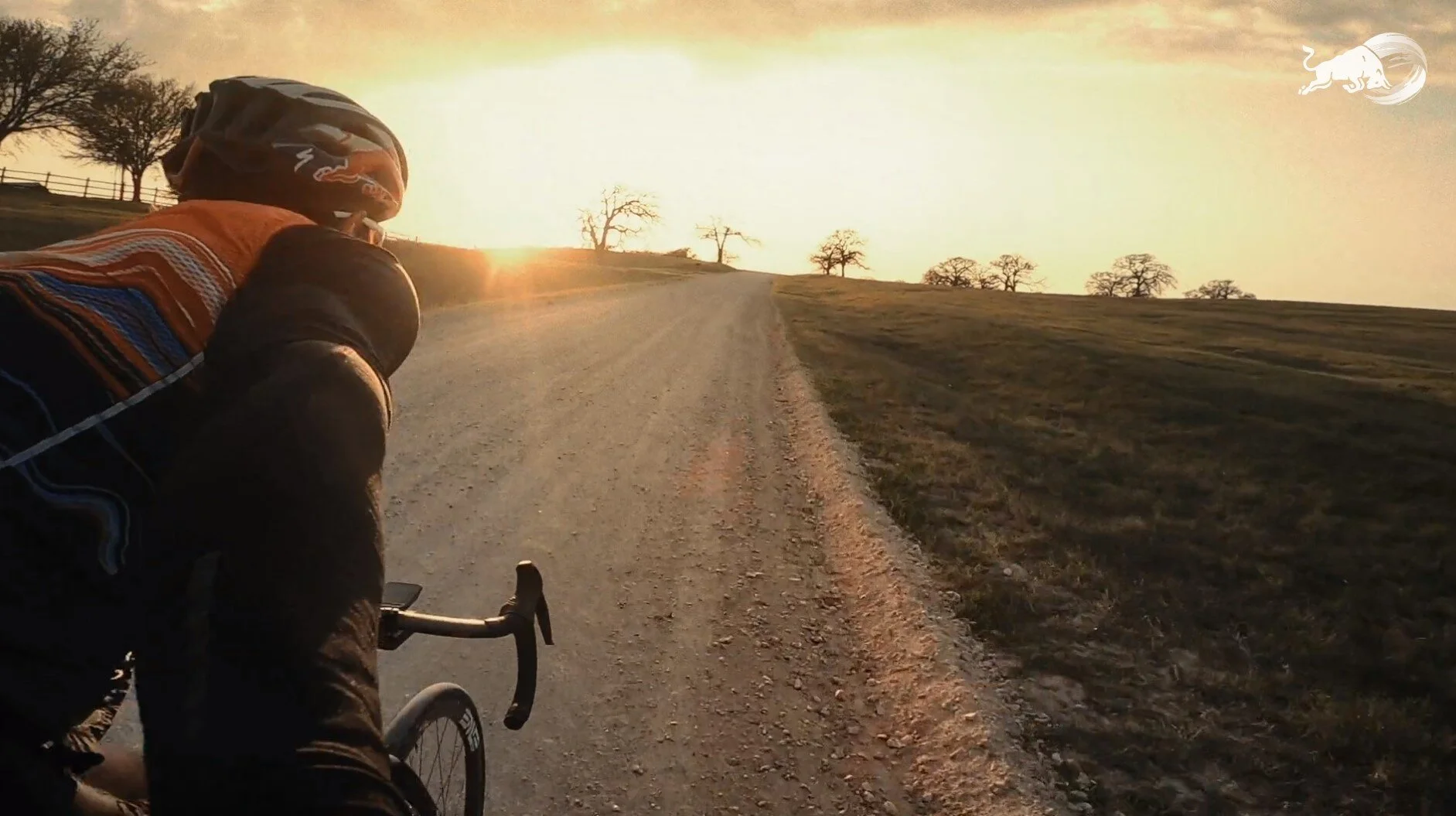 Screenshot 2021-07-08 143751.jpg