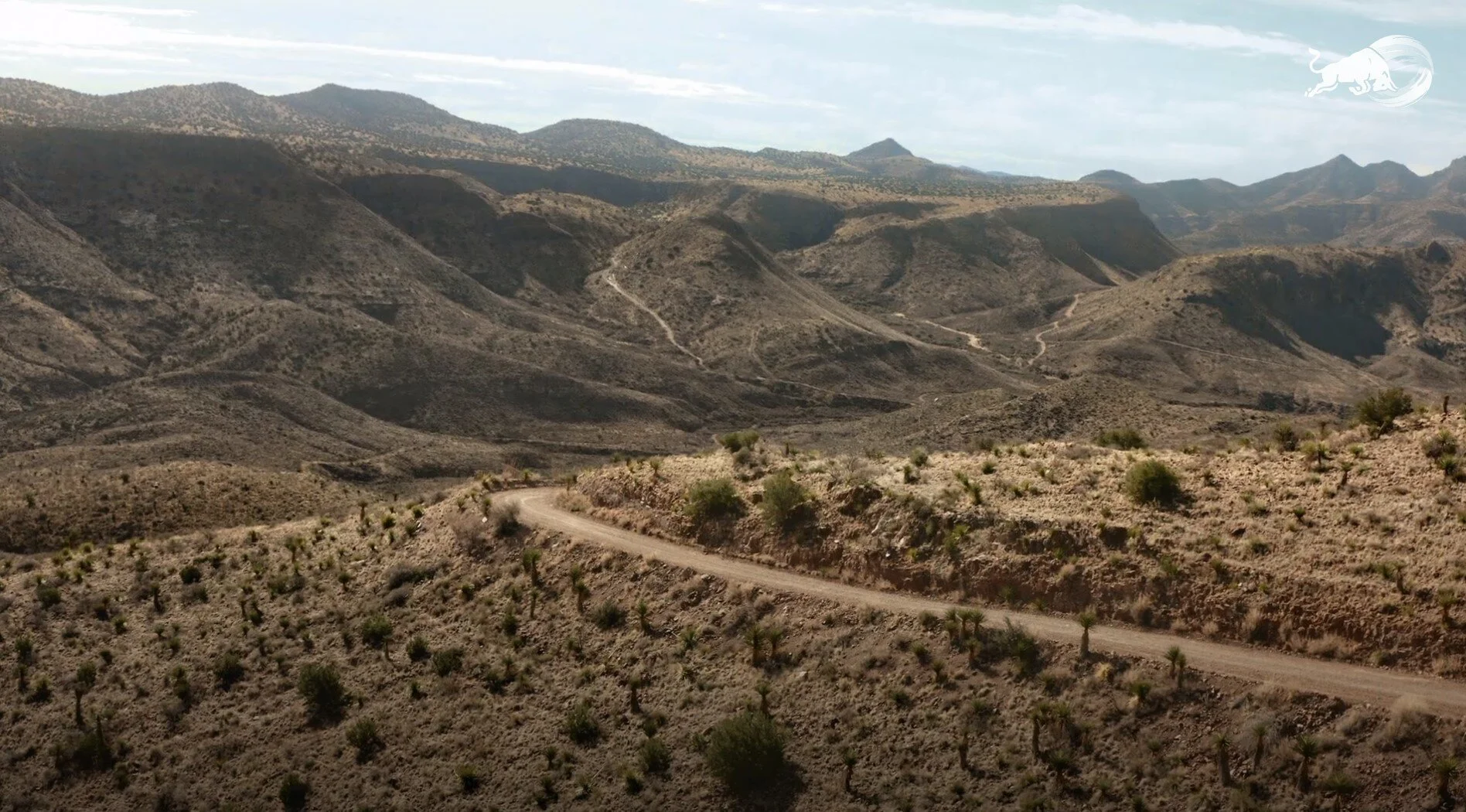 Screenshot 2021-07-08 144053.jpg