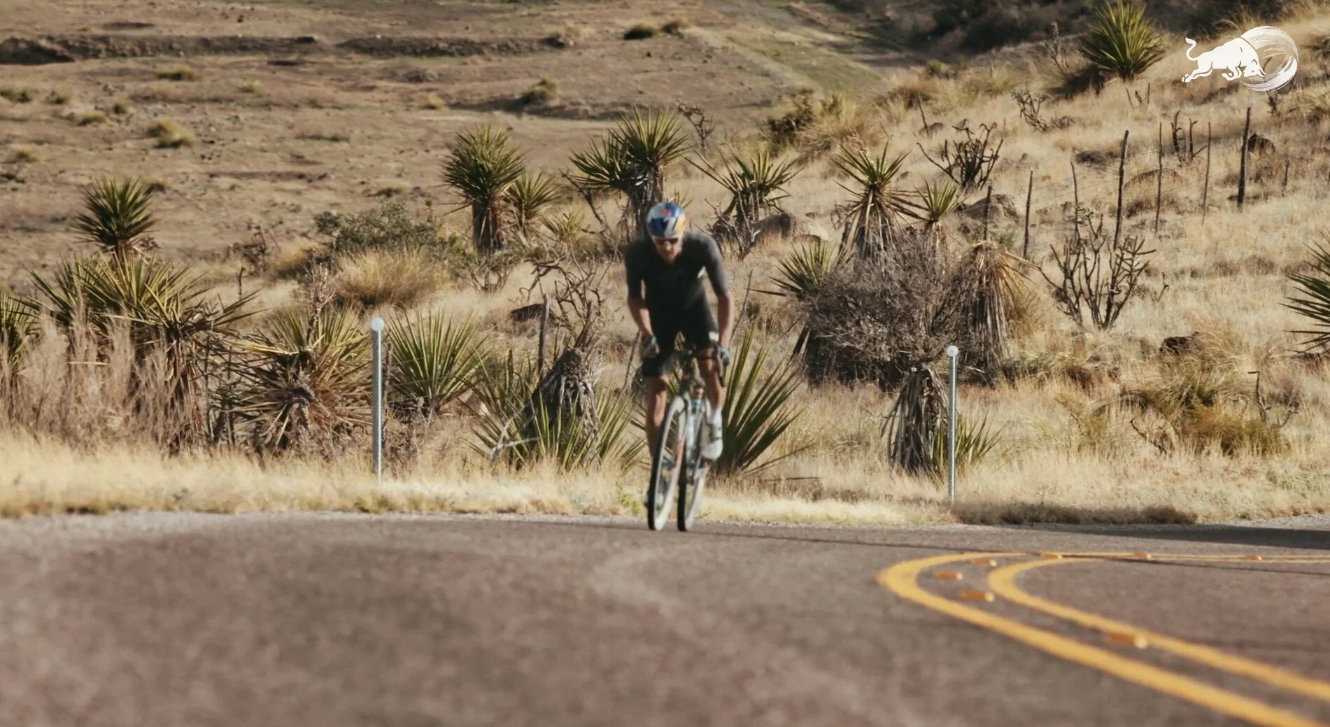 Screenshot 2021-07-08 143545 - Copy.jpg