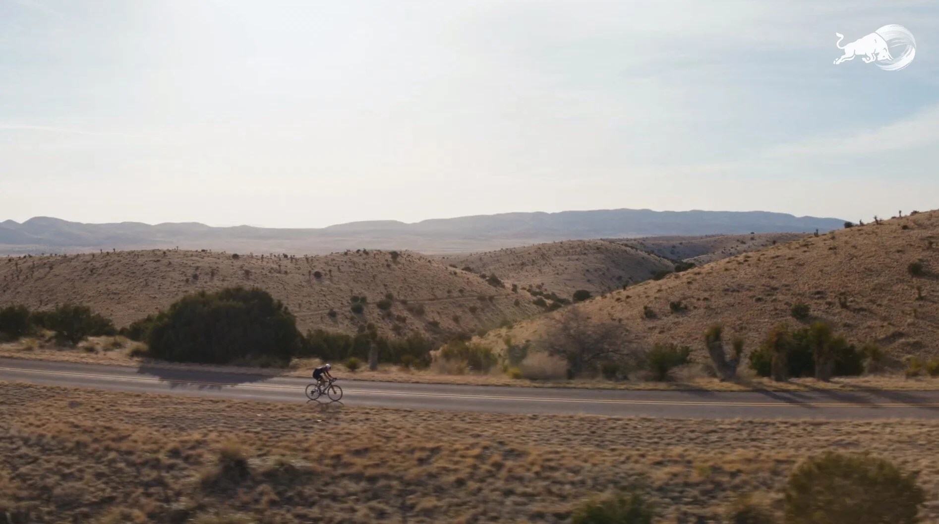 Screenshot 2021-07-08 143630 - Copy.jpg