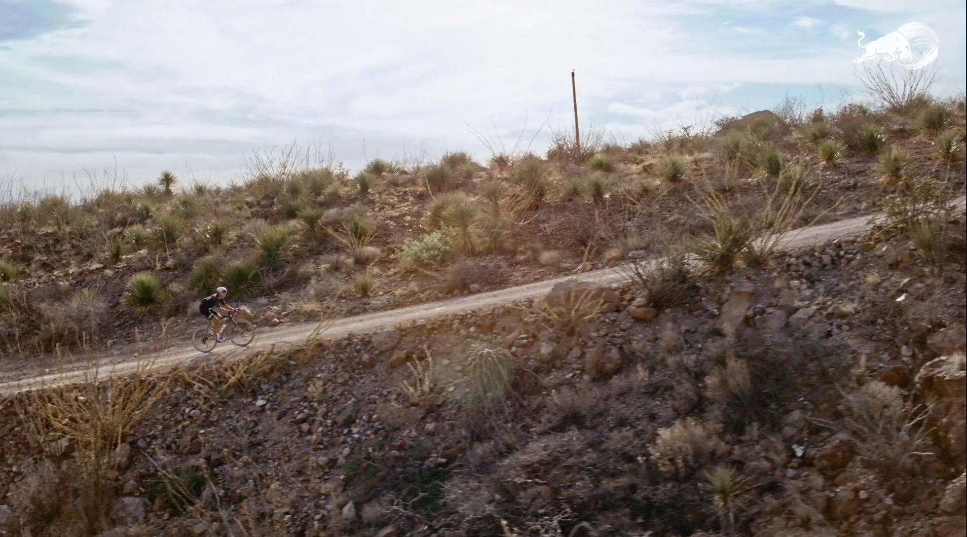 Screenshot 2021-07-08 143637 - Copy.jpg