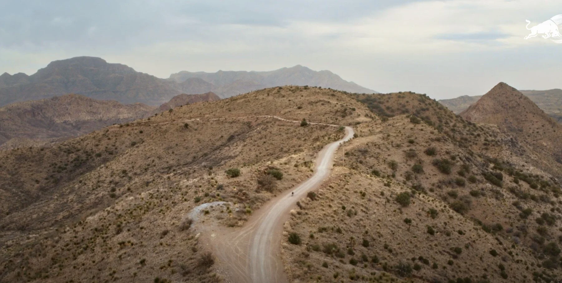 Screenshot 2021-07-08 143701.jpg