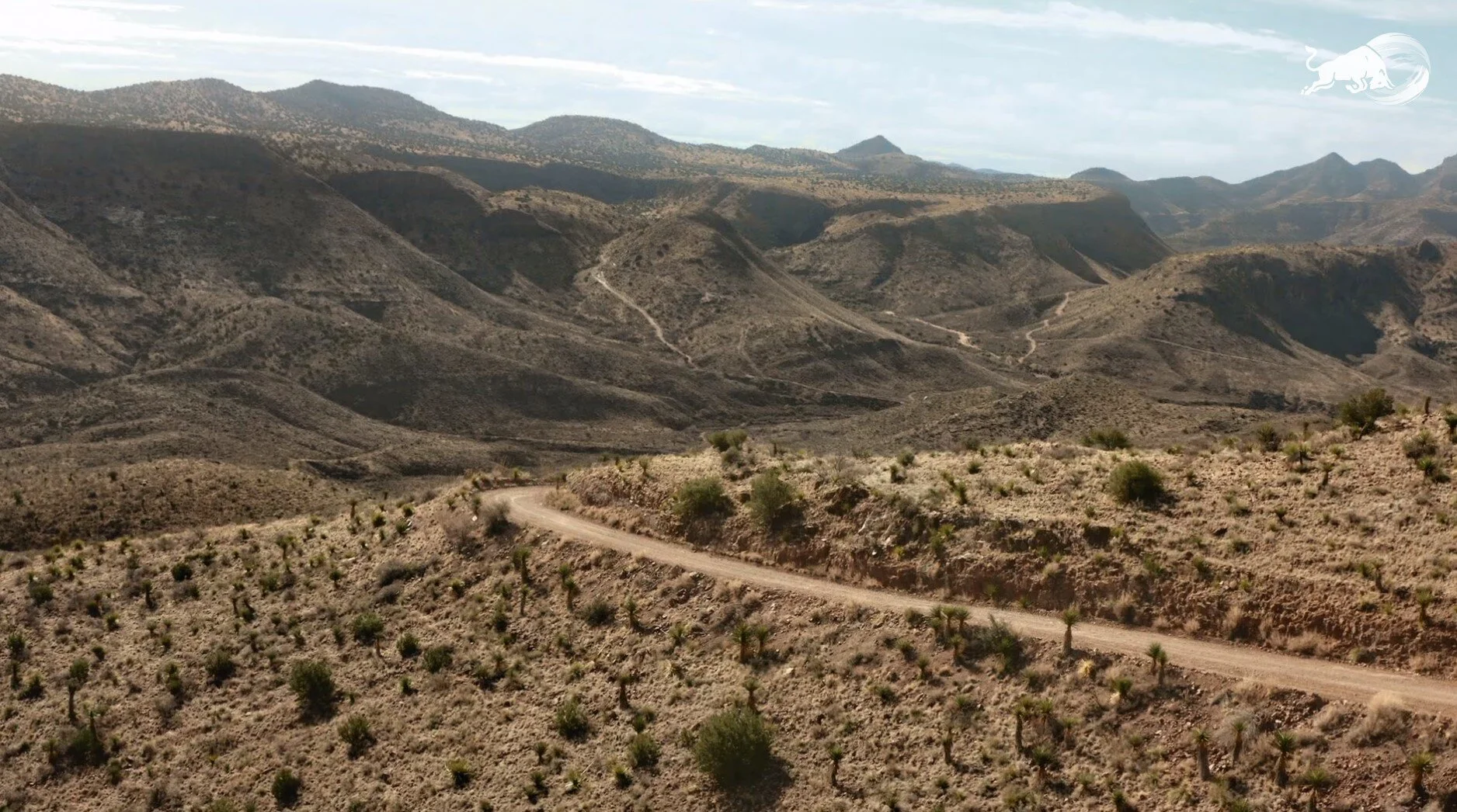 Screenshot 2021-07-08 143732 - Copy.jpg