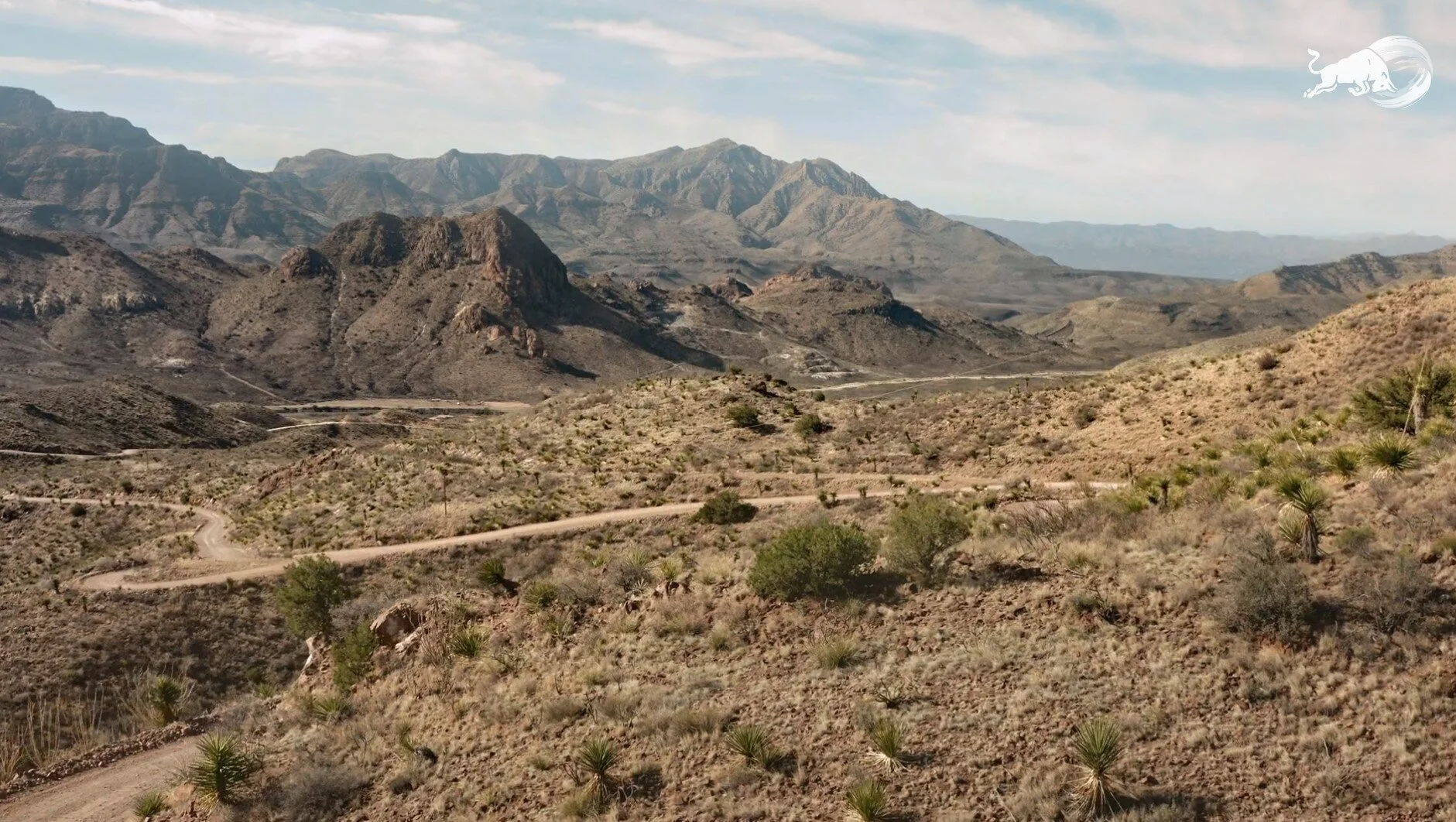 Screenshot 2021-07-08 144047.jpg