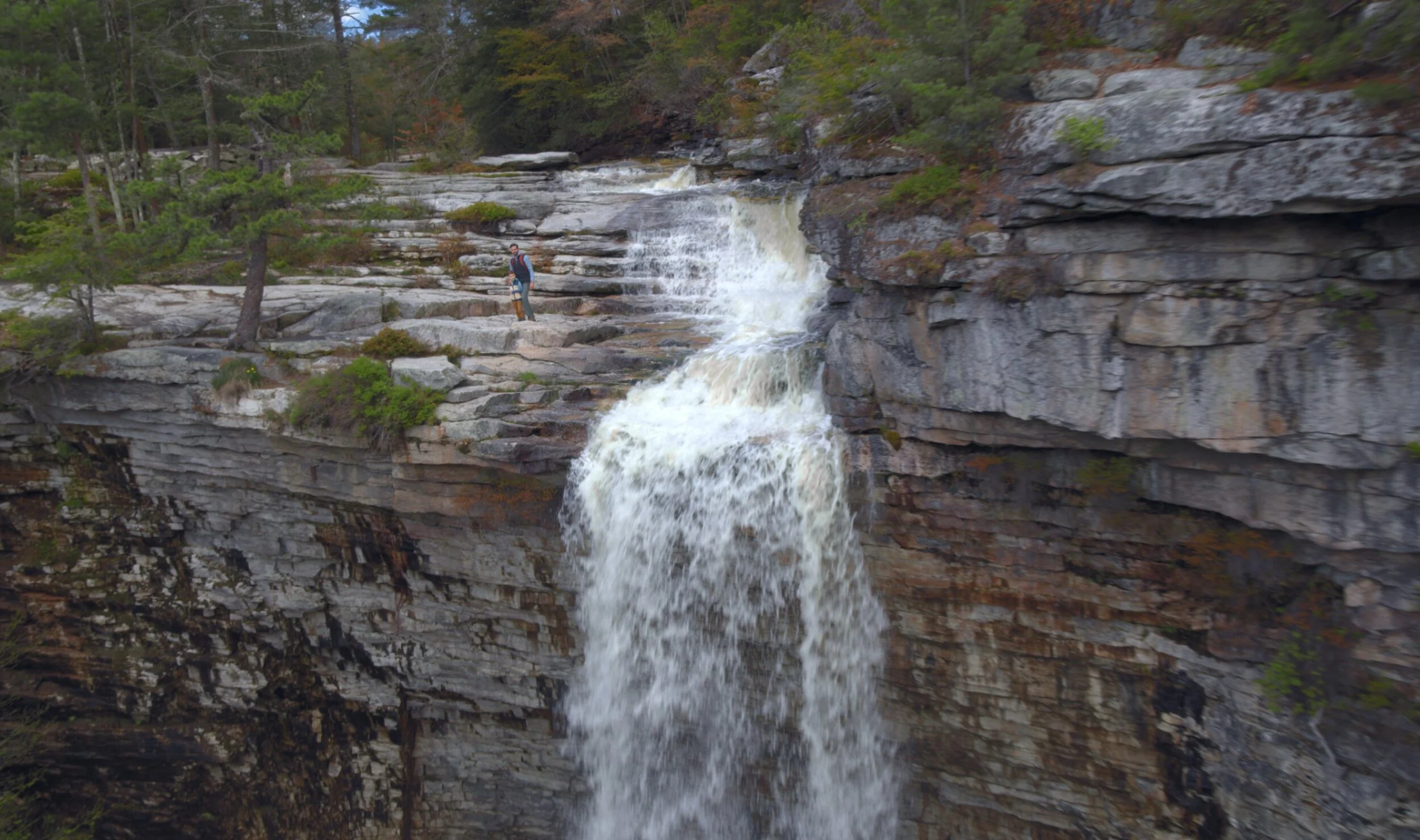 Screenshot 2021-07-27 091739.jpg