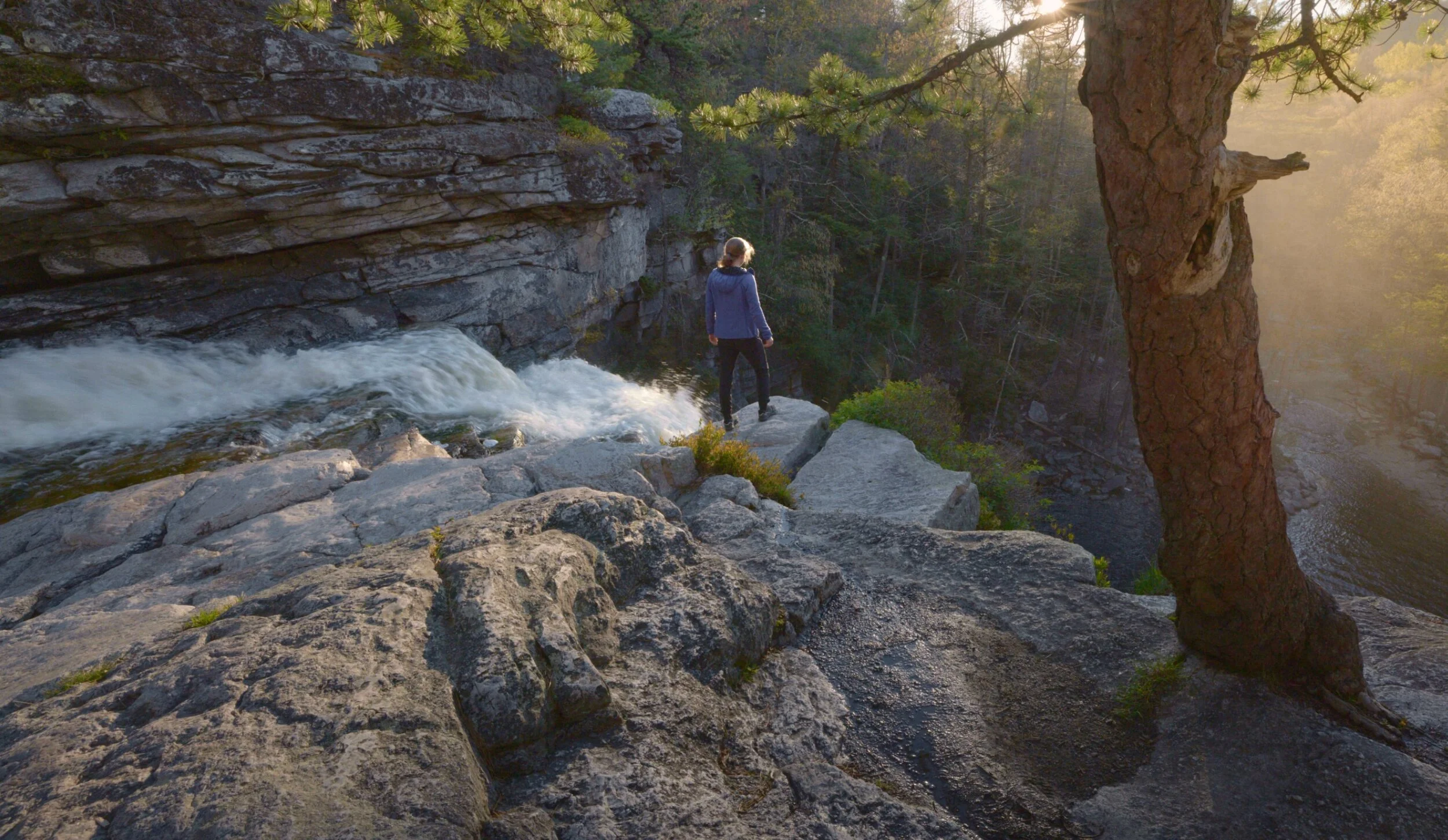 Screenshot 2021-07-27 091749.jpg