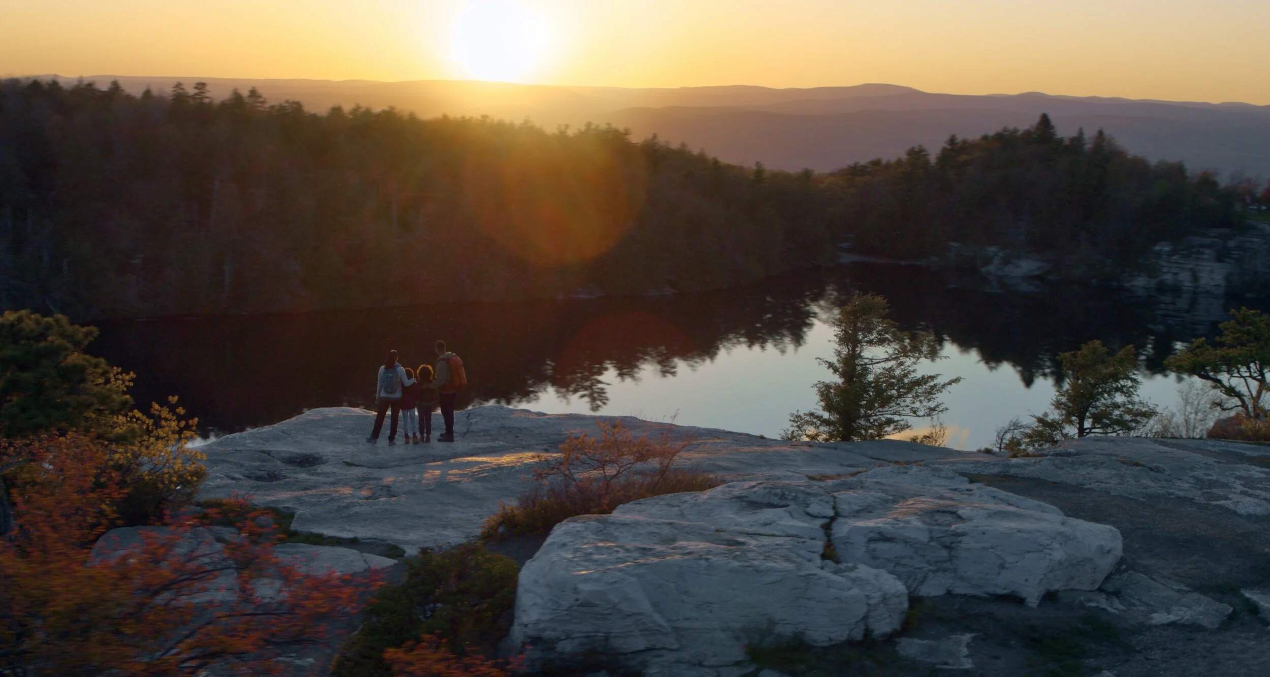 Screenshot 2021-07-27 091815.jpg