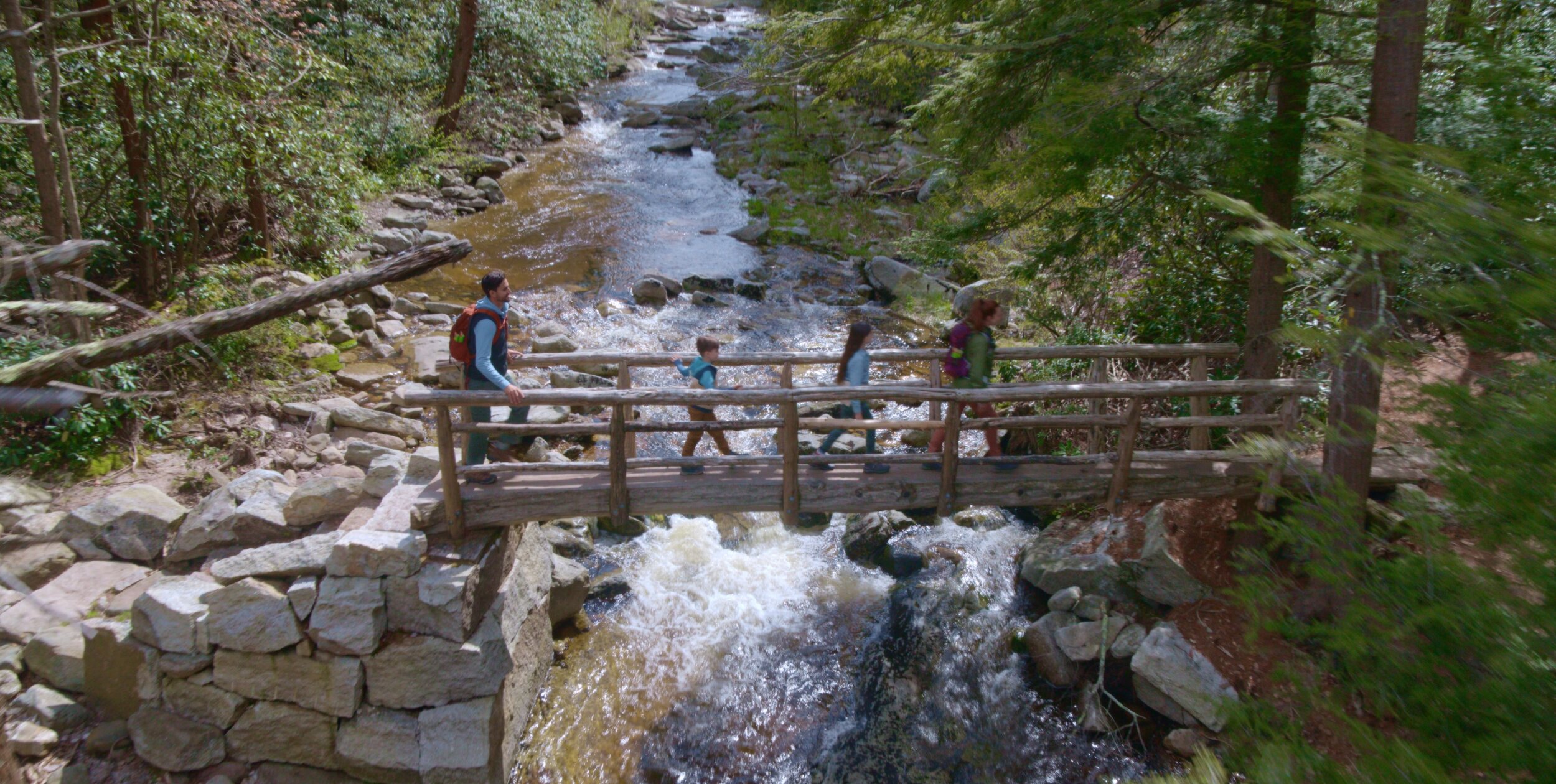 Screenshot 2021-07-27 091828.jpg