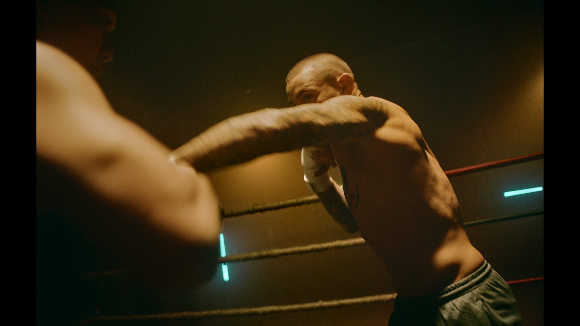  Adjusting for just the right amount of haze in the background to match the texture and tone of the Monkey Man trailer. 