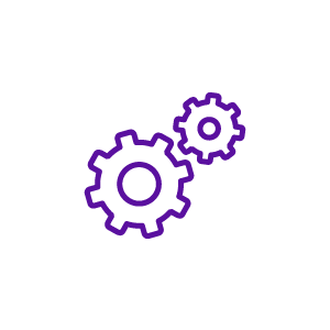 4) Process Development