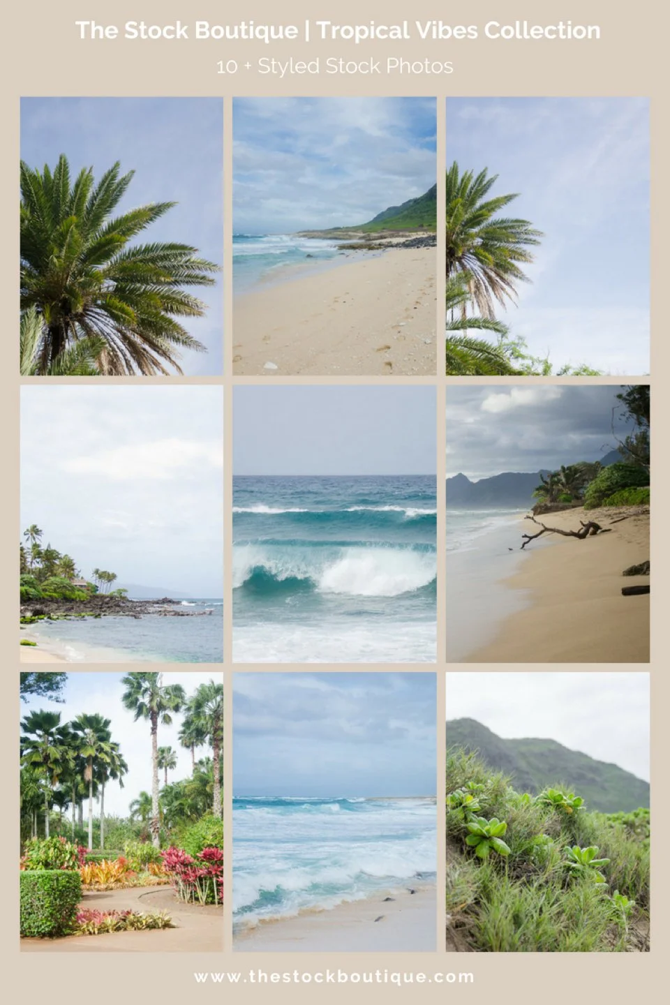 Tropical Vibes Stock Photography Collection. We giveaway a stock photo every month when you subscribe! www.thestockboutique.com #stockphoto #femaleentrepreneur #smallbusiness