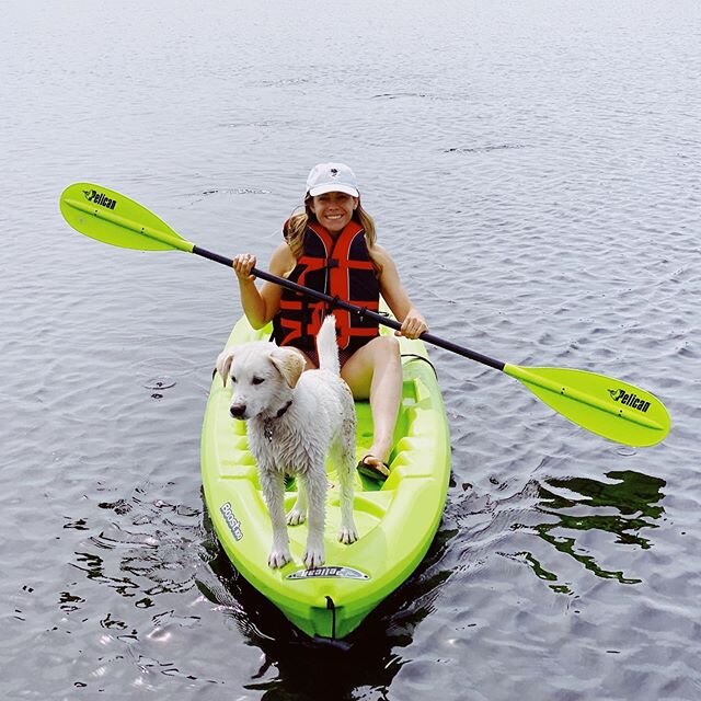 Seeing the world through a new set of eyes 👀 🐶 
Happy to have this adventure pup, Petey, by my side. 
Happy summer y&rsquo;all! 
#summervibes #rosehipconsulting #kayaking