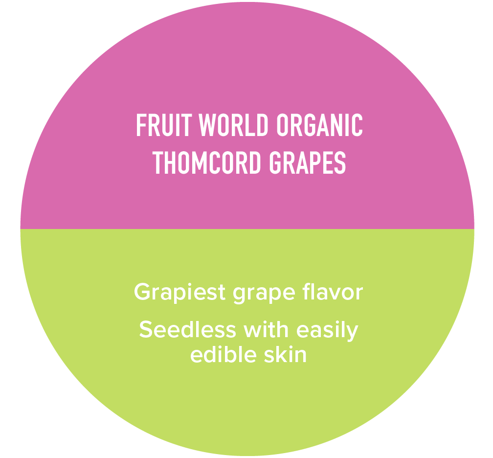 GrapesGraphicPiece2-01.png