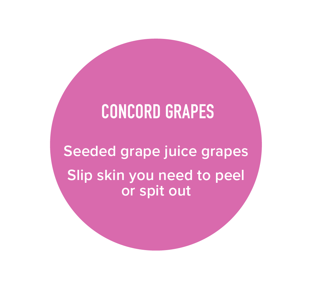 GrapesGraphicPiece1-01.png