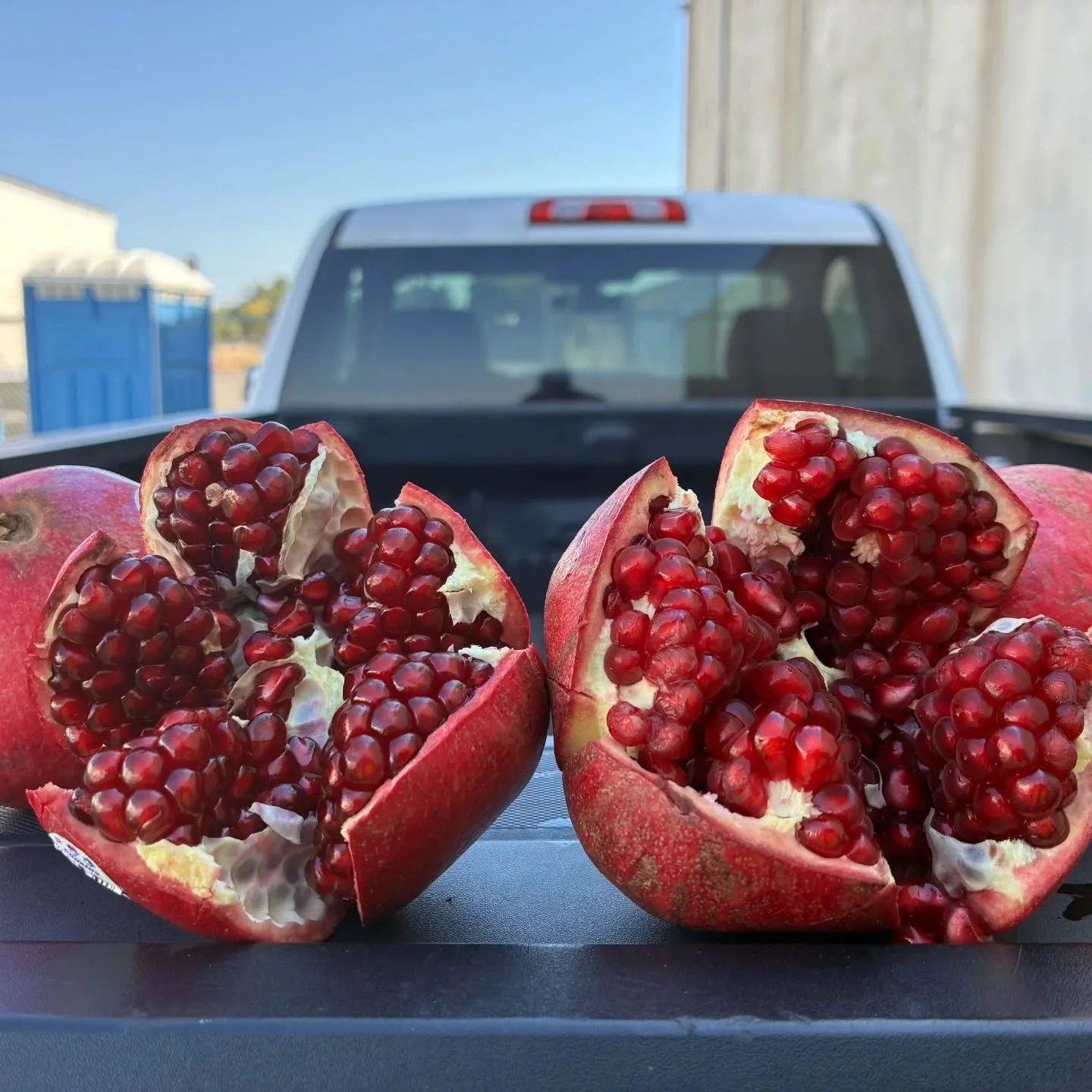 It's pomegranate season! 🎉❤️ Get ready for sweet crunch, juicy bursts, and red-stained smiles. 💋

#fruitworldco #organic #creeksideorganics #familyfarmed #pomegranates #fallfruit