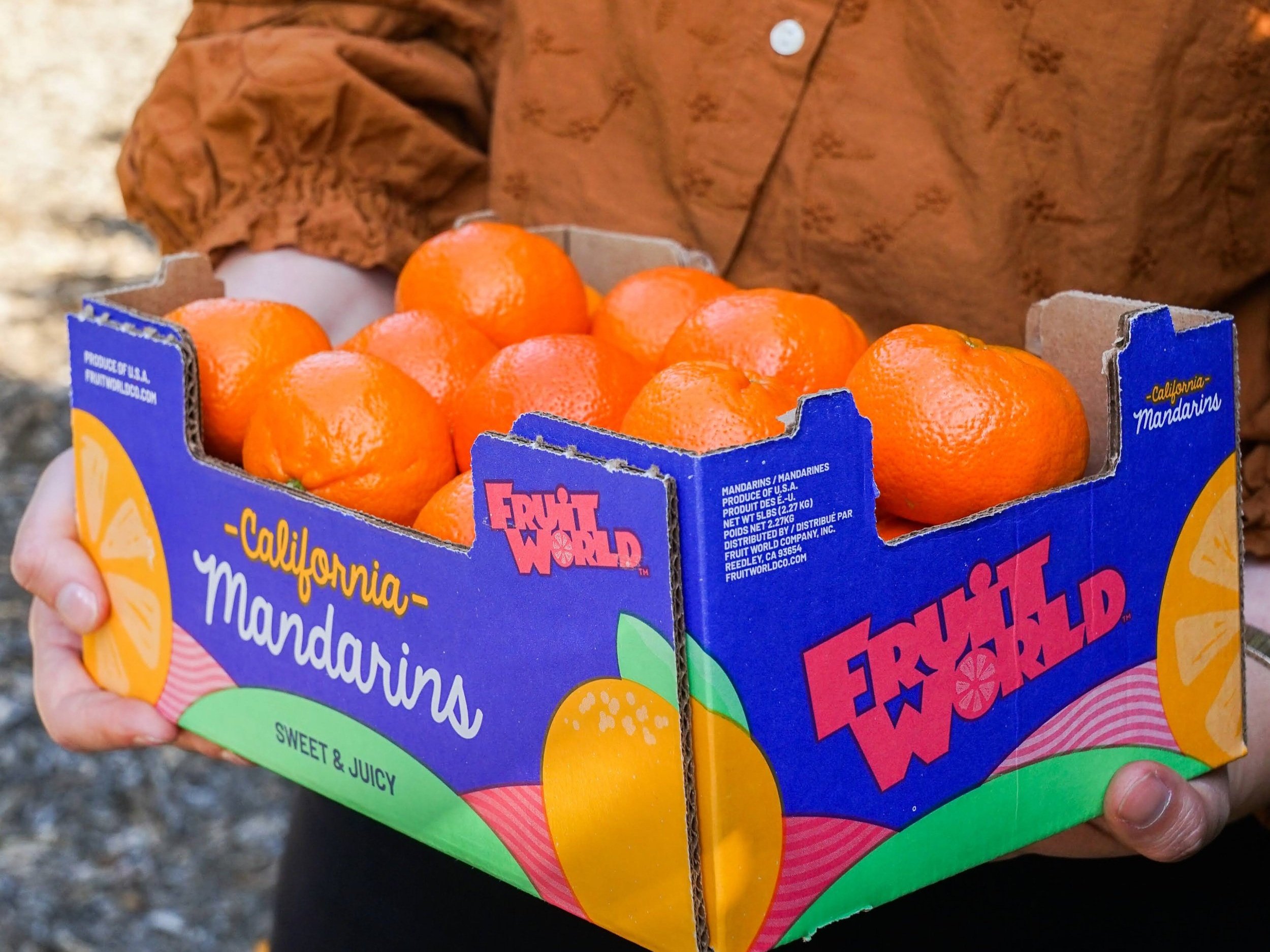 Our Story — Fruit World