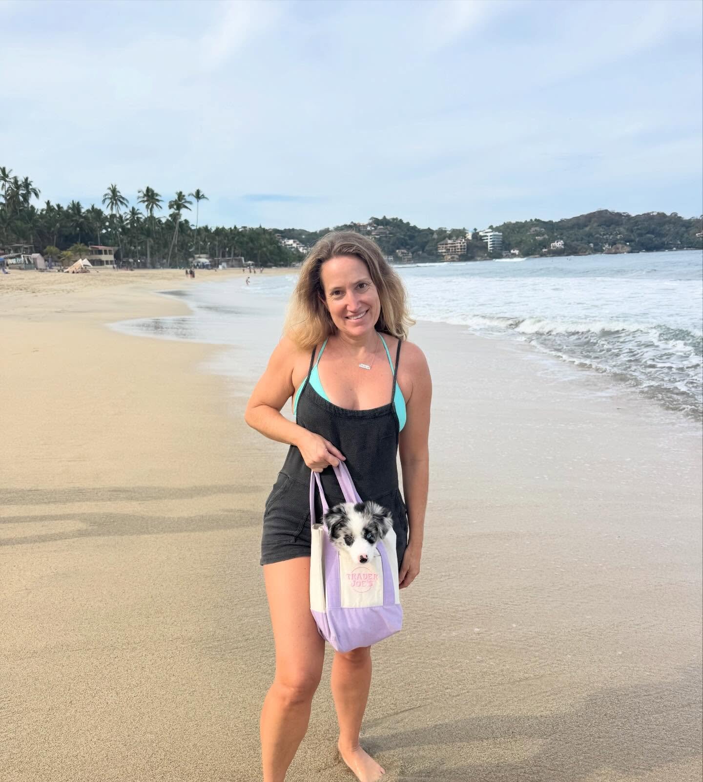 She has grown so fast in just one week, I cant take it!!!! Still fitting in the mini tote, but not for long!!! @shantithebordercollie #bordercollie #traderjoestotebag #sayulita #traderjoesfinds