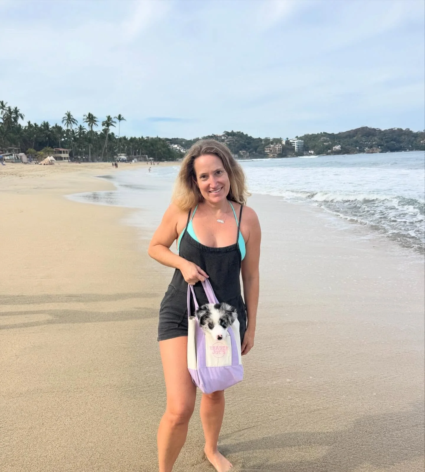 She has grown so fast in just one week, I cant take it!!!! Still fitting in the mini tote, but not for long!!! @shantithebordercollie #bordercollie #traderjoestotebag #sayulita #traderjoesfinds