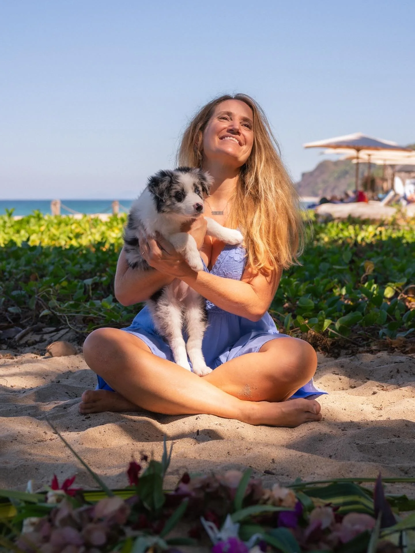 3 weeks of having this cuteness in my life. Love at first sight. @shantithebordercollie #yogadog #meditation #puppytime #puppylove