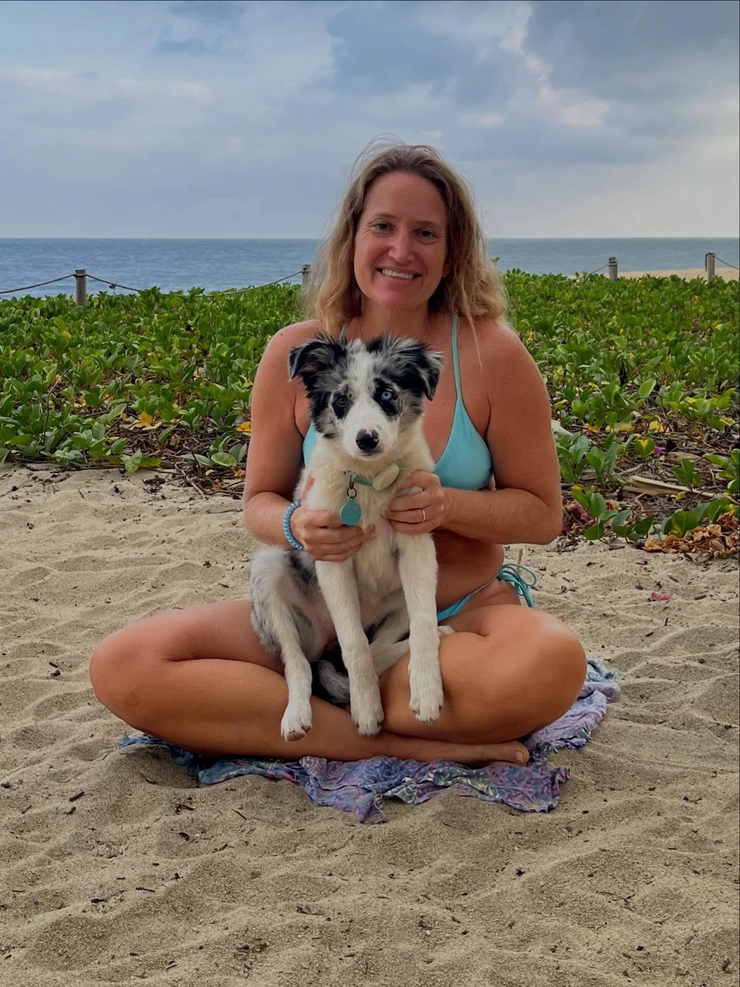 Shanti is 4 months old!!! We have had her 2 months and I wish we could have this time forever💕 #growingpuppy #puppymom #bordercolliepuppy #puppylove