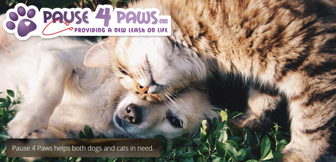 Pause for Paws.jpg