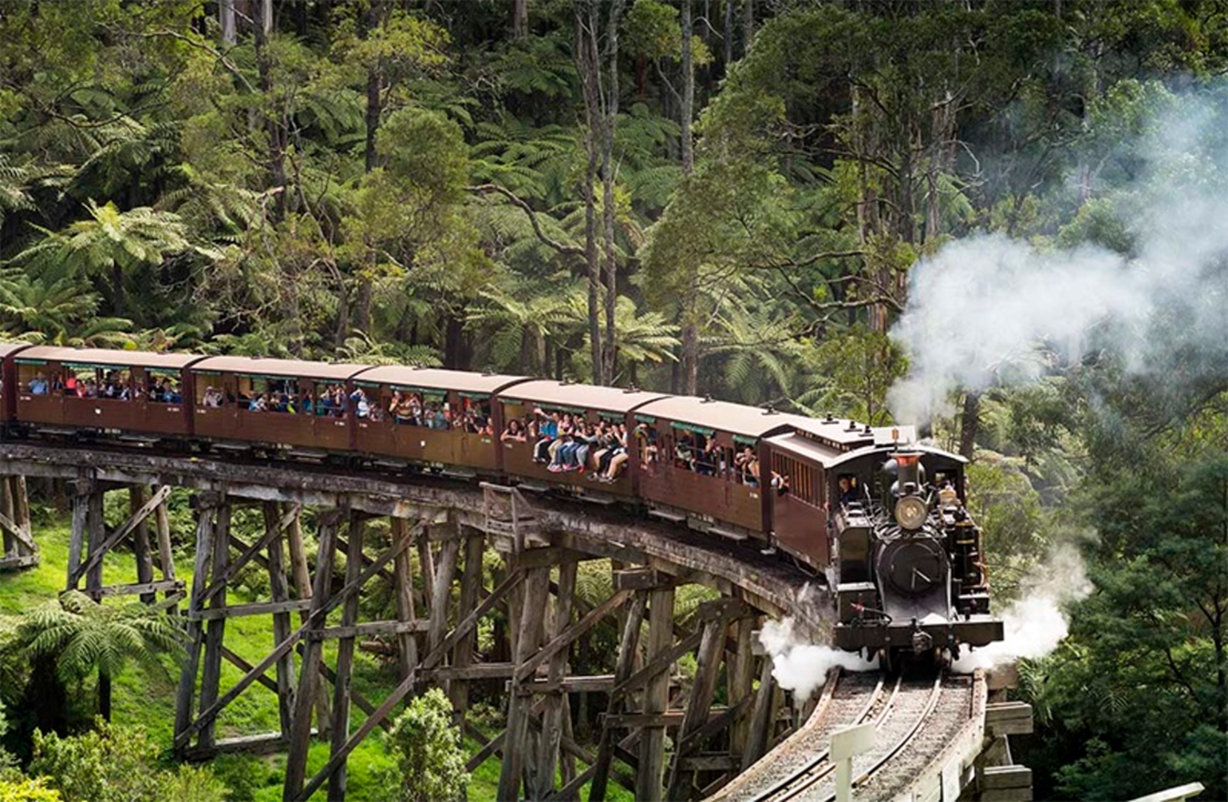 Puffing Billy Train .png