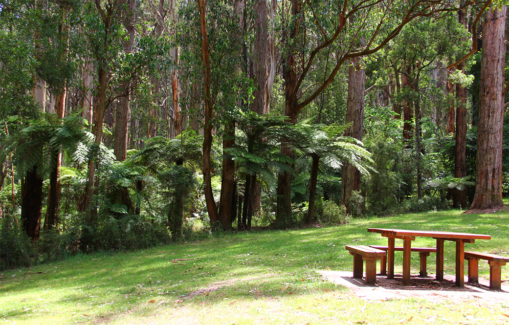 Doongalla Homestead Picnic Grounds Kilsyth.png