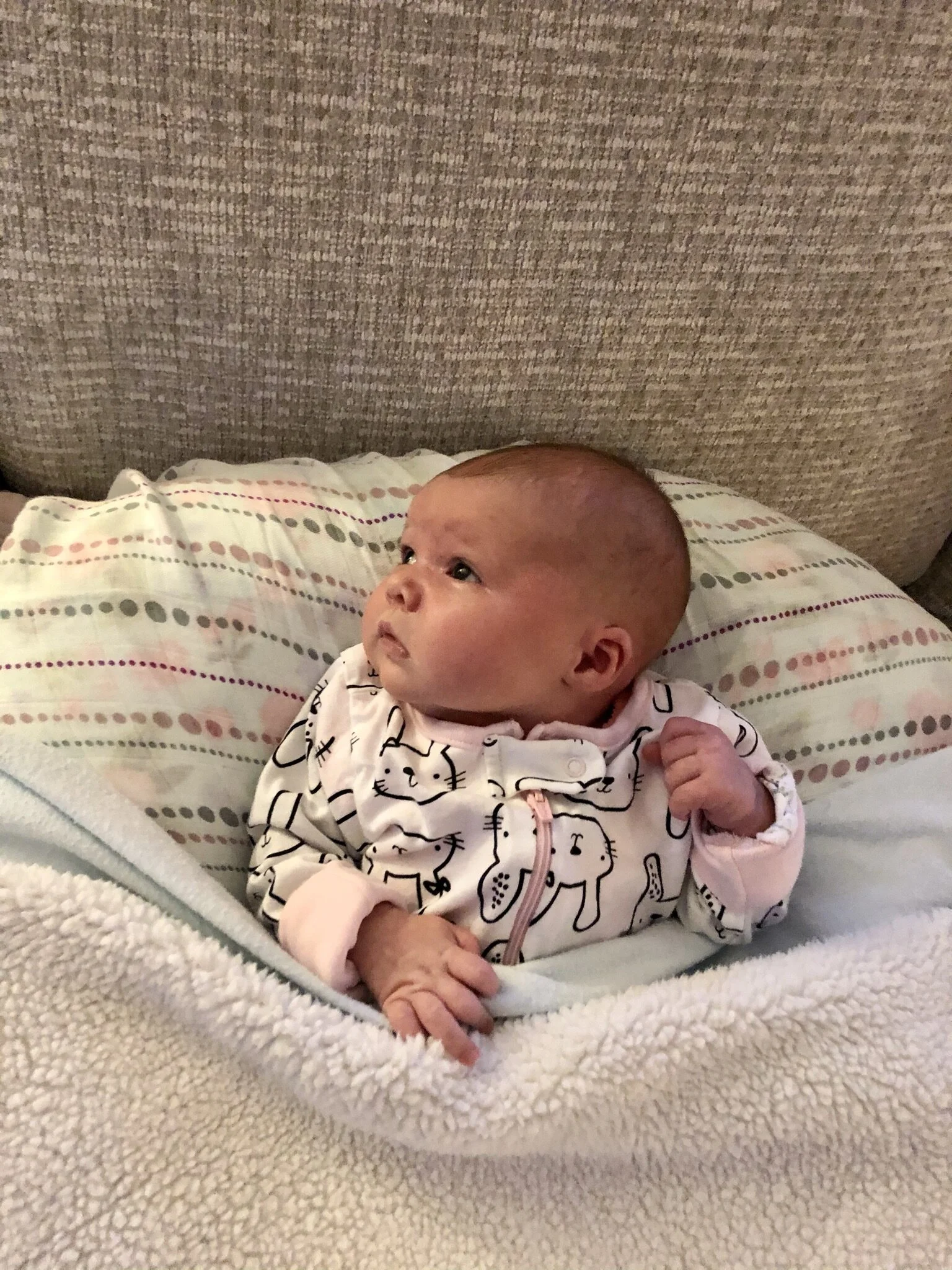IMG_9598 (1).jpeg