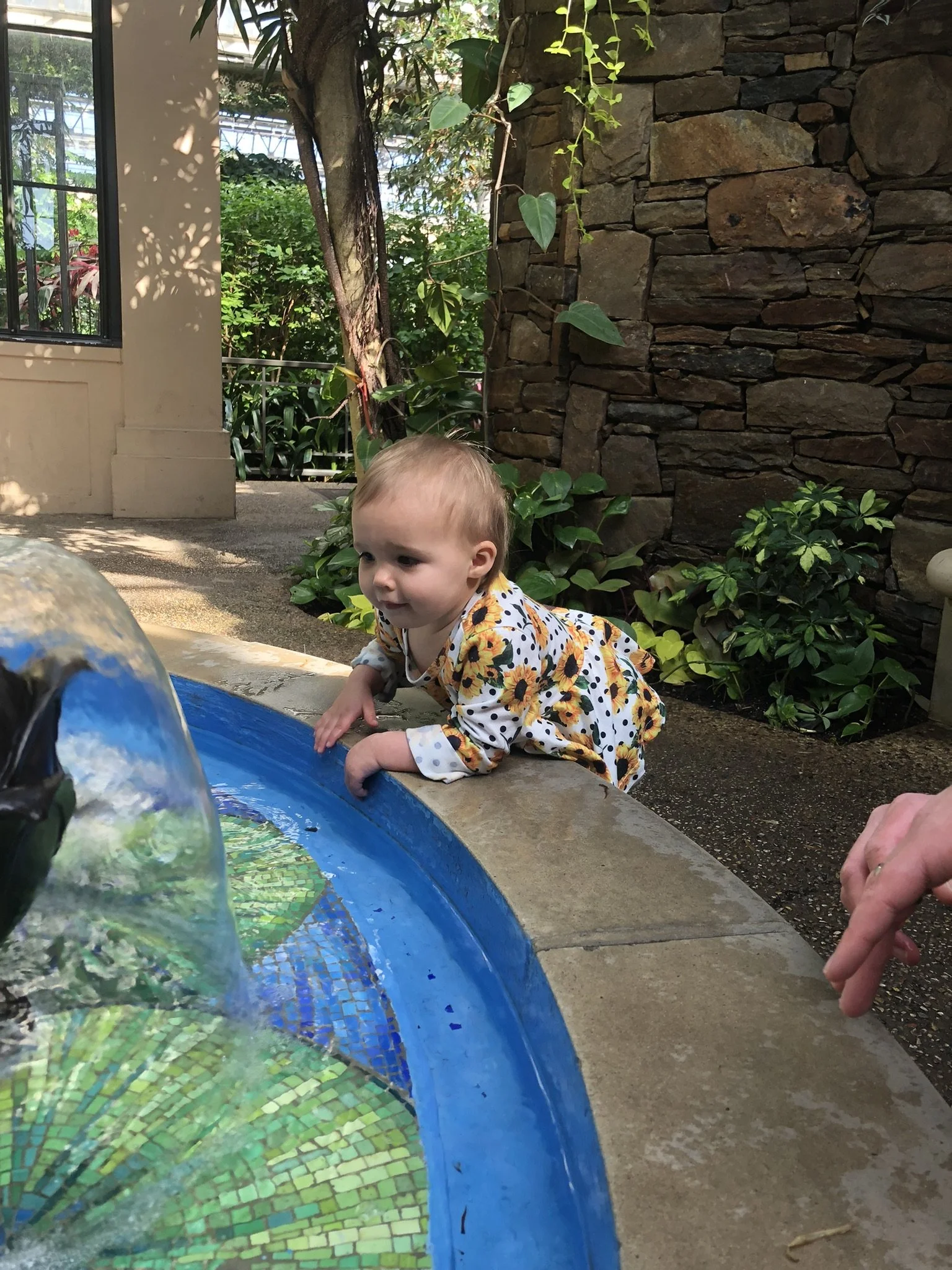 IMG_7865 (1).jpeg